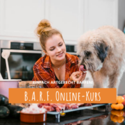 5 Gründe für das BARFEN